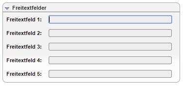 Freitextfelder